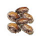 detail image2 [TSG KOREA] Premium Live Abalone