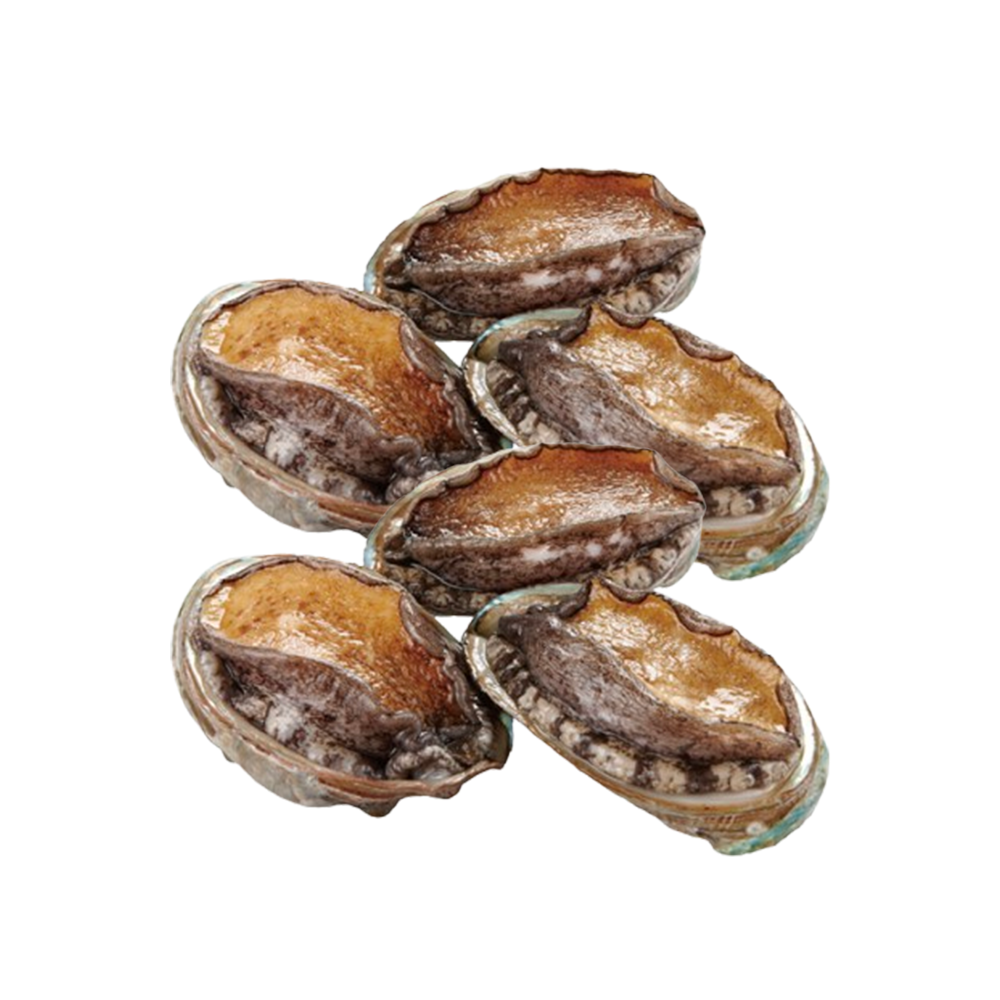 [TSG KOREA] Premium Live Abalone