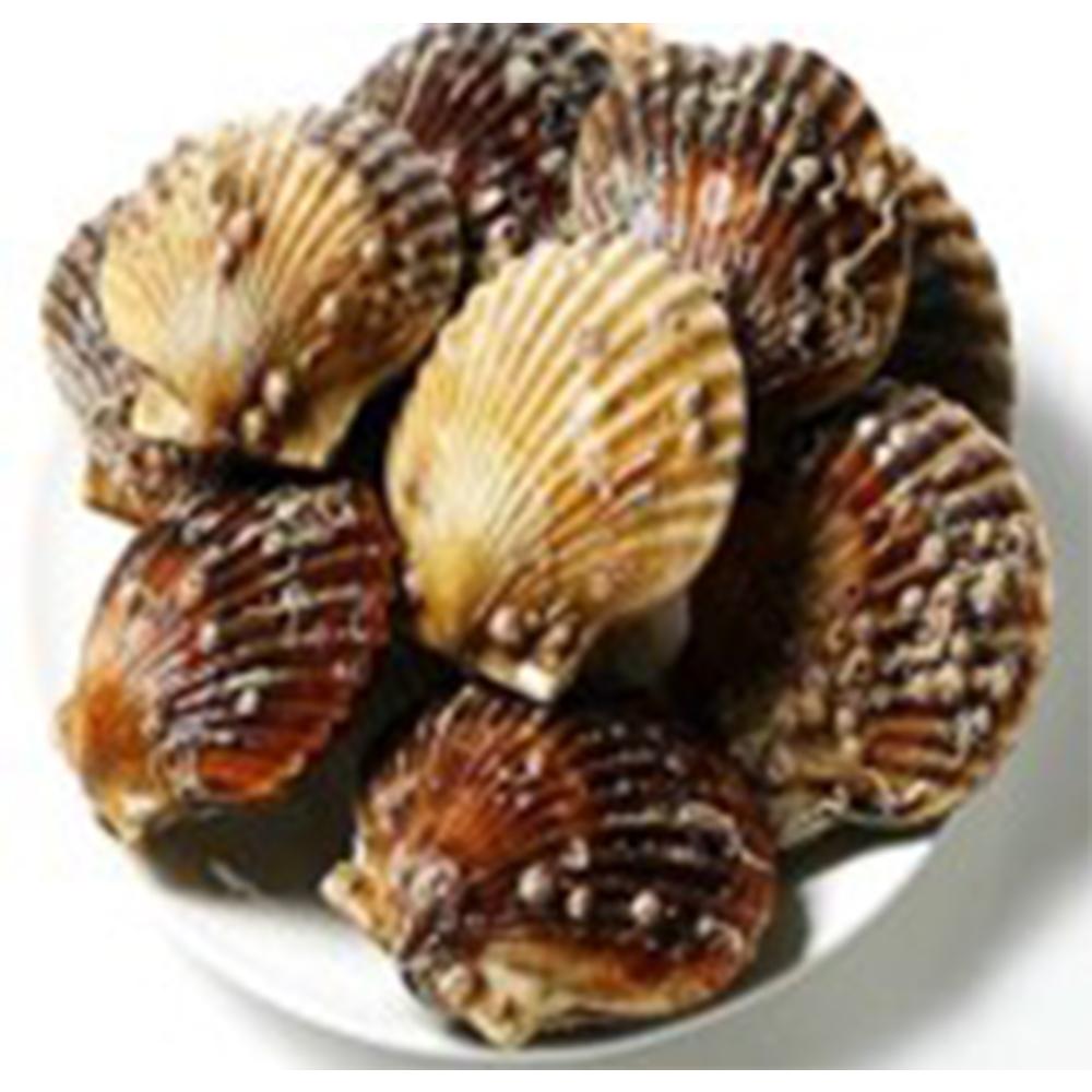 Scallops