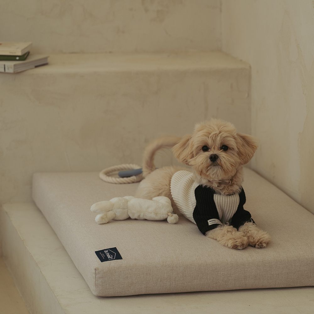 Dr.Friend Puppy Morden Sleep House