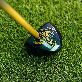 detail image4 Dip Maple Premium New Park Golf Club 8-Piece Set – Dual-Tone Head with Carbon Shaft, Complete Full S